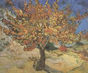 Vincent Van Gogh The Mulberry Tree (nn04) china oil painting artist